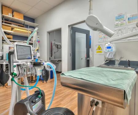 Fish Creek Animal Hospital