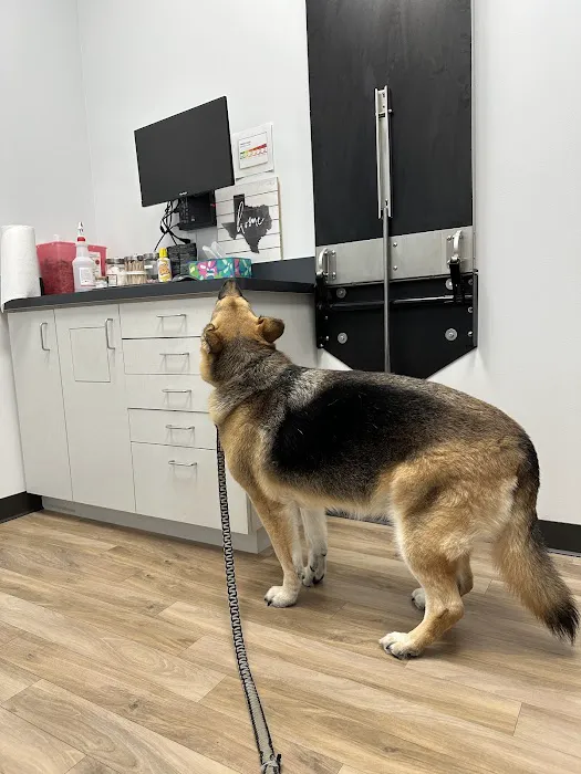 Fish Creek Animal Hospital Picture 7