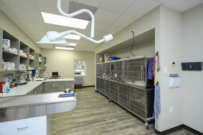 Woodforest Animal Hospital Picture 7