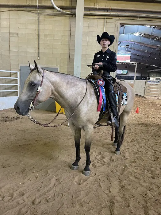 Lone Star Equine Sports Medicine Picture 3