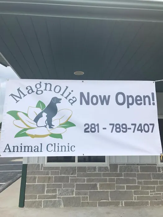Magnolia Animal Clinic Picture 9