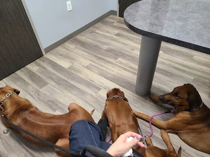 Magnolia Animal Clinic Picture 8