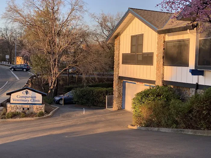 Companion Veterinary Clinic Picture 4