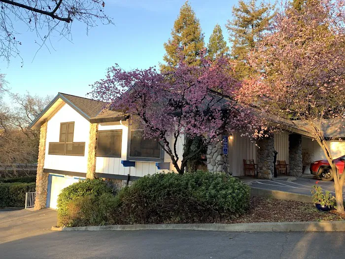 Companion Veterinary Clinic Picture 7