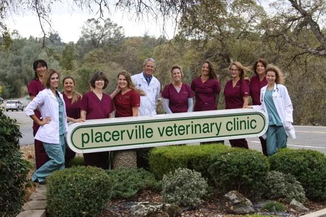 Placerville Veterinary Clinic Picture 10