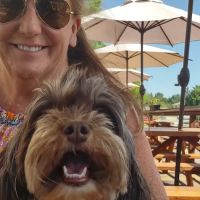 Placerville Veterinary Clinic: Heather Carmody DVM ico