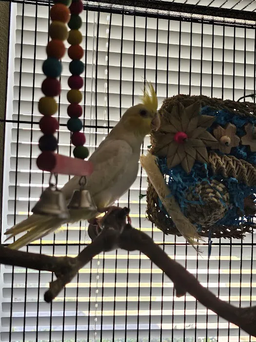 Avian Health Services Picture 4