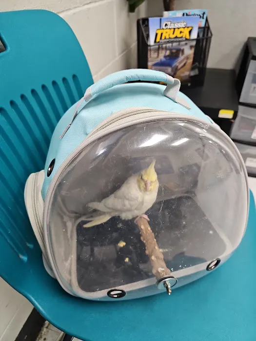 Avian Health Services Picture 2