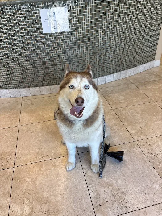 Crossroads Veterinary Hospital Picture 7