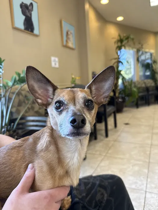 Crossroads Veterinary Hospital Picture 5