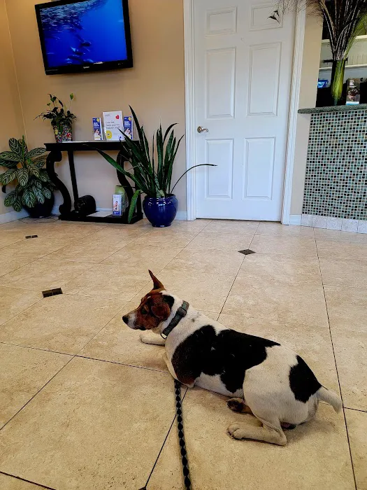 Crossroads Veterinary Hospital Picture 9