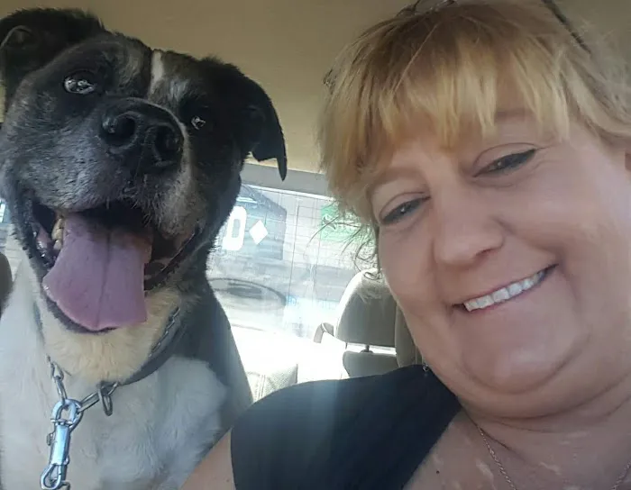 Crossroads Veterinary Hospital Picture 10