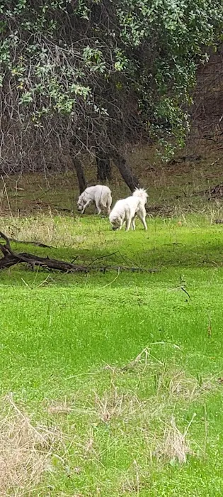 Sierra Animal Hospital Picture 8