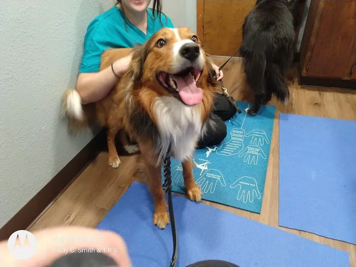 Sierra Animal Hospital Picture 9