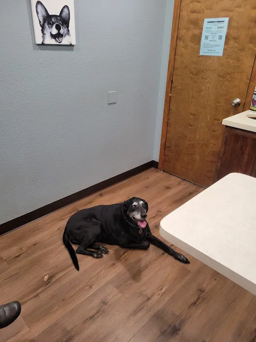 Sierra Animal Hospital: Stephens Stacey DVM Picture 1