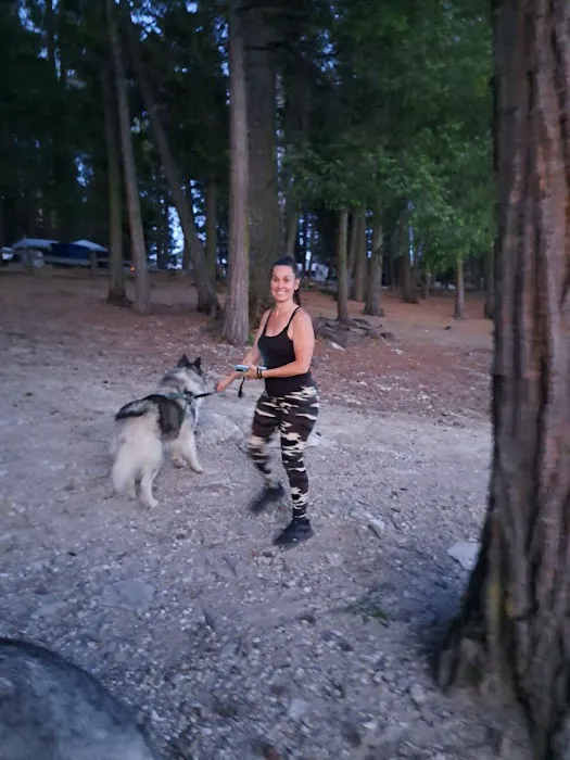 Placerville Animal Wellness Picture 5