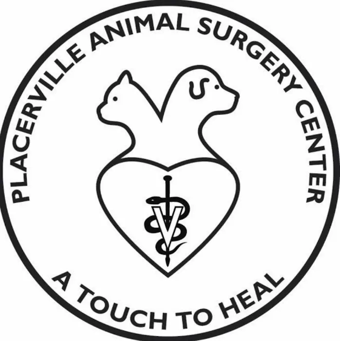 Placerville Animal Surgery Center Picture 3