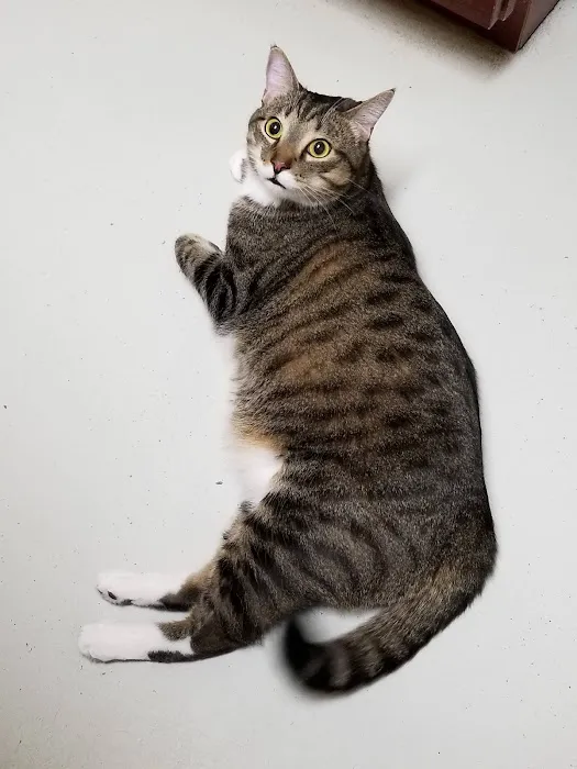 Lannon's Animal Hospital Picture 7
