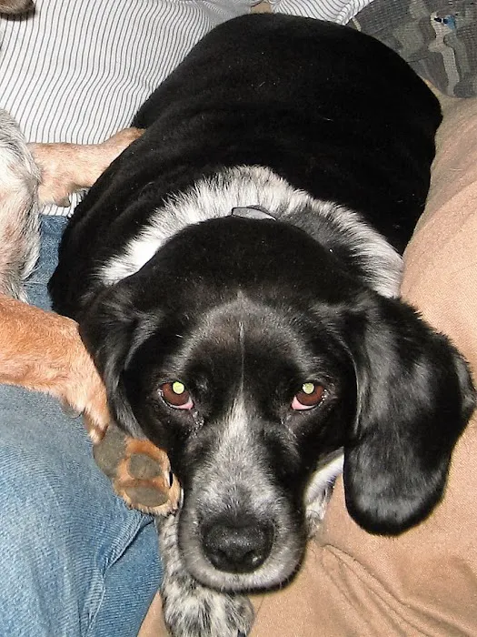 Lannon's Animal Hospital Picture 10