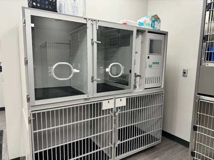 East Carolina Animal Emergency Picture 1