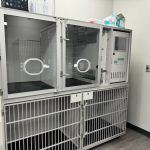 East Carolina Animal Emergency