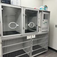 East Carolina Animal Emergency ico