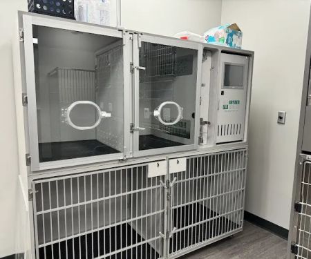 East Carolina Animal Emergency