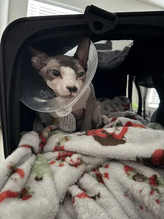 East Carolina Animal Emergency Picture 5