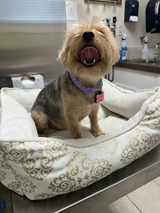 Pasquotank Animal Hospital Picture 1
