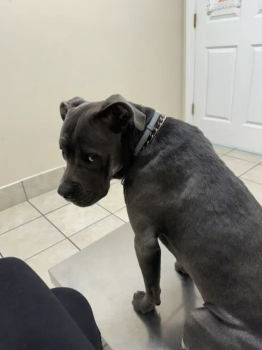 Pasquotank Animal Hospital Picture 4