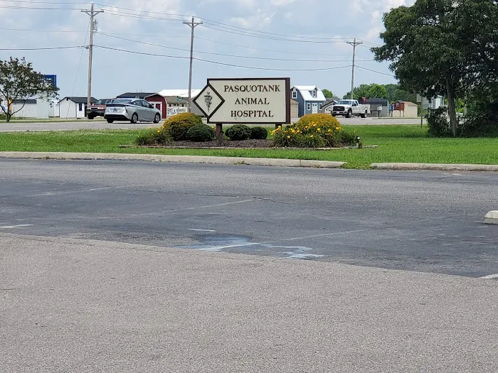 Pasquotank Animal Hospital Picture 7
