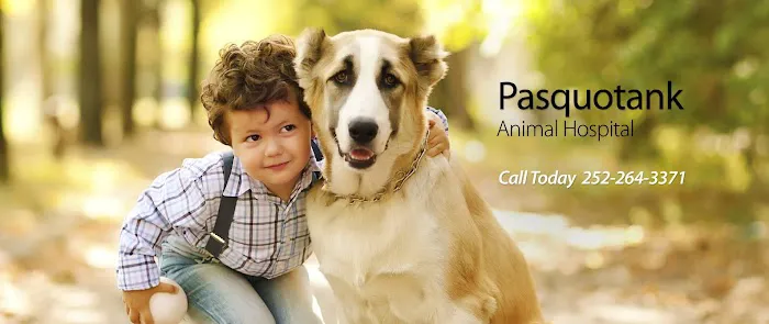 Pasquotank Animal Hospital Picture 8