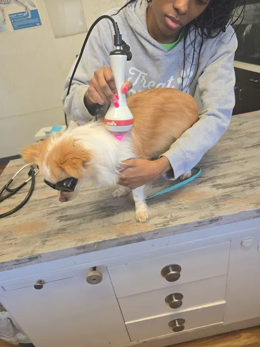 Powellsville Pet Clinic Picture 5