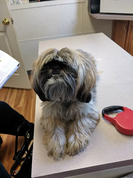 Powellsville Pet Clinic Picture 7