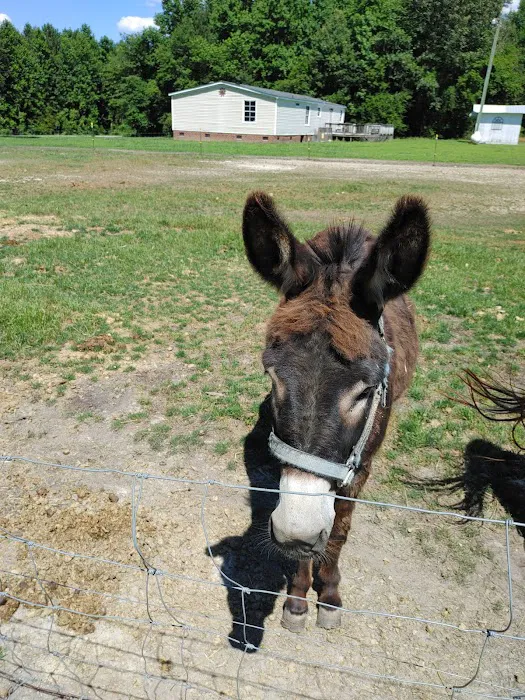 Powellsville Pet Clinic Picture 10