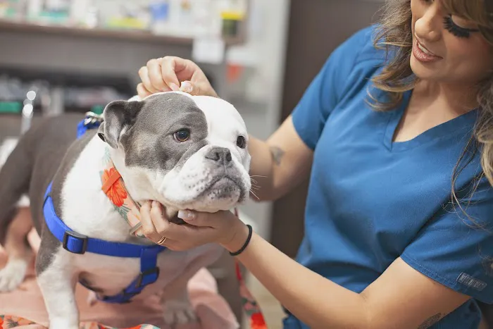 Mission Veterinary Clinic and Animal Emergency Hospital Picture 4
