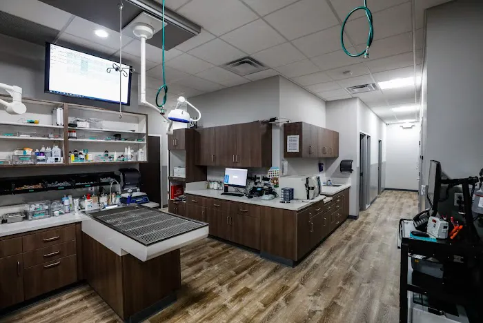 Mission Veterinary Clinic and Animal Emergency Hospital Picture 10