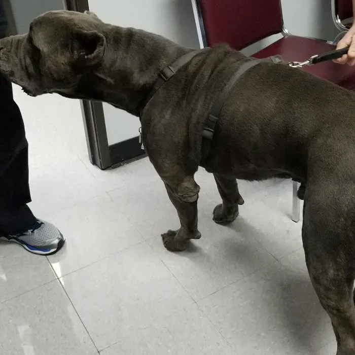 North Valley Veterinary Clinic Picture 3