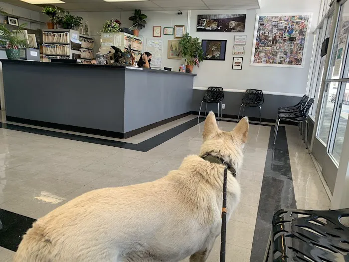 North Valley Veterinary Clinic Picture 6