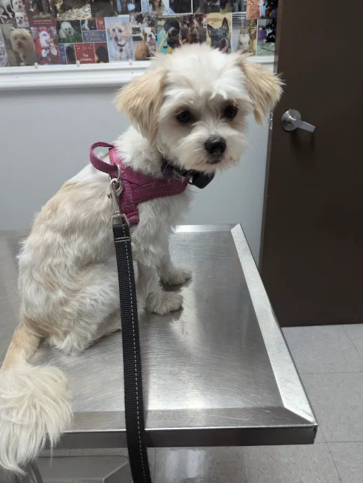 North Valley Veterinary Clinic Picture 7
