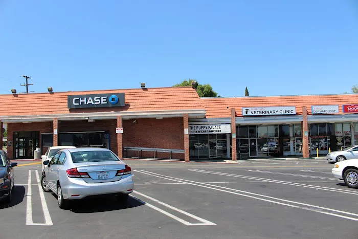 North Valley Veterinary Clinic Picture 10