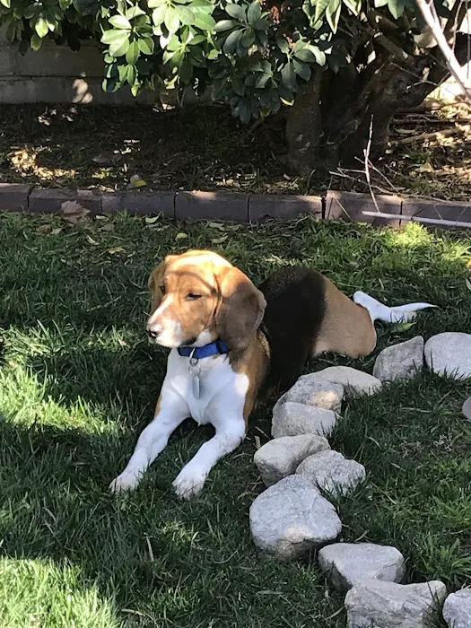 Balboa Veterinary Medical Center Picture 9