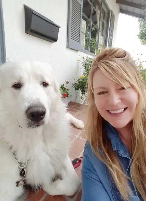 Northridge Pet Hospital Picture 6