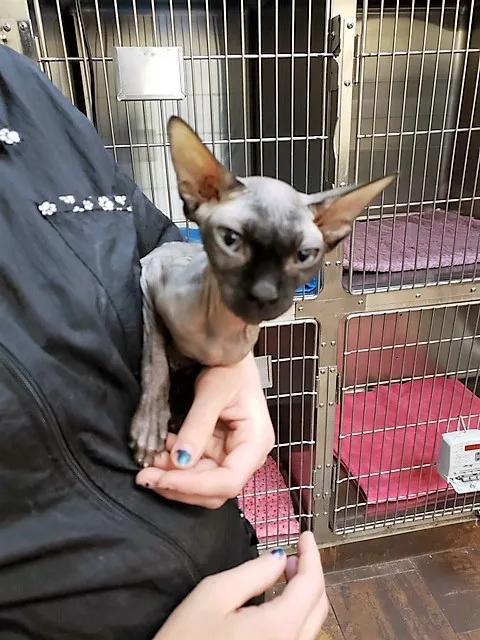Porter Veterinary Center Picture 4