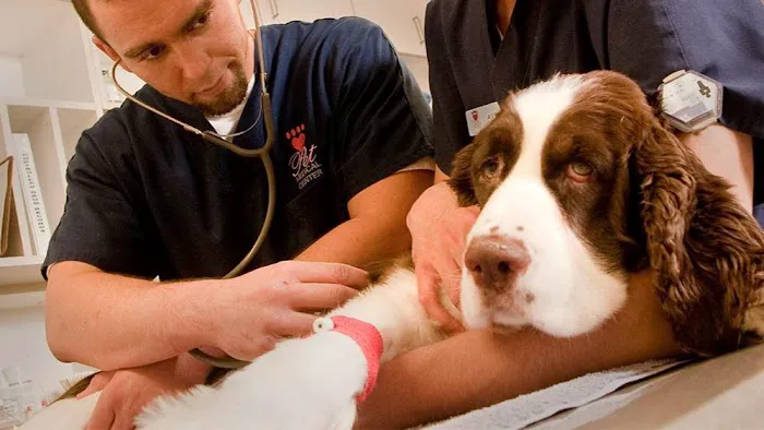 VCA Chatoak Animal Hospital Picture 4