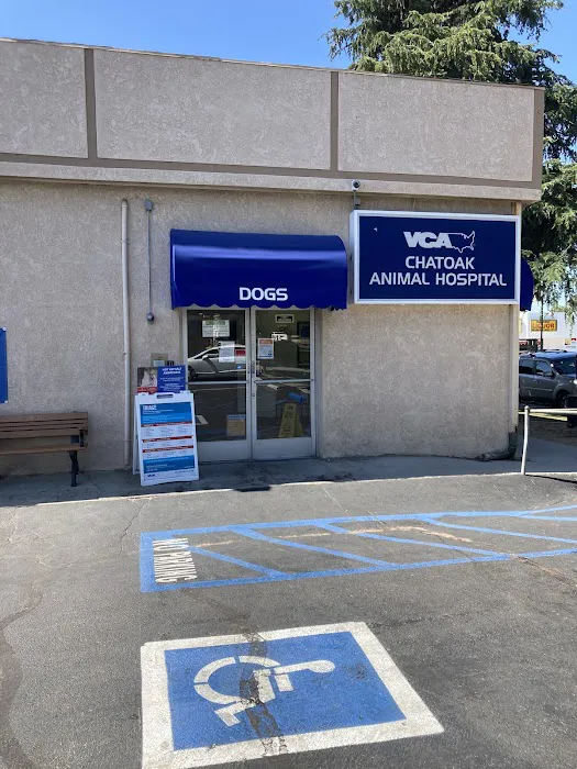 VCA Chatoak Animal Hospital Picture 2