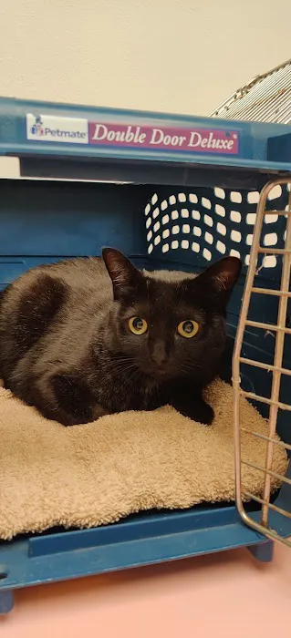 Northridge Animal Medical Center Picture 6