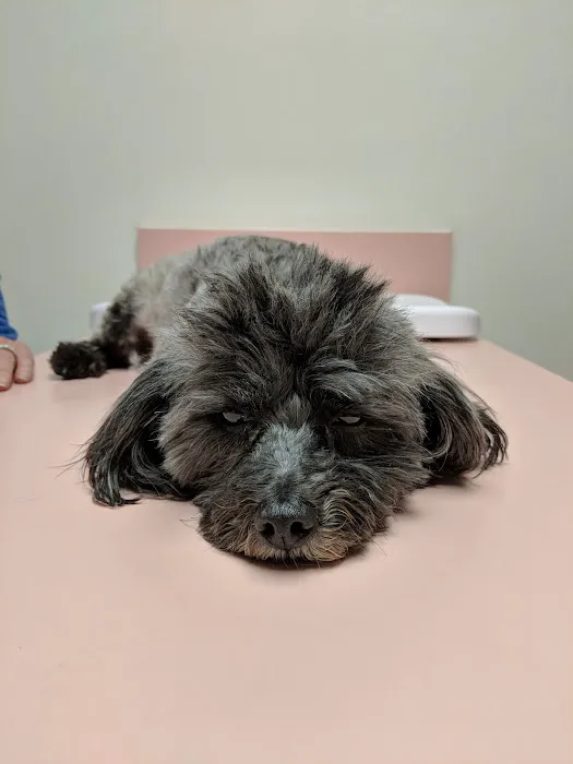 Northridge Animal Medical Center Picture 7
