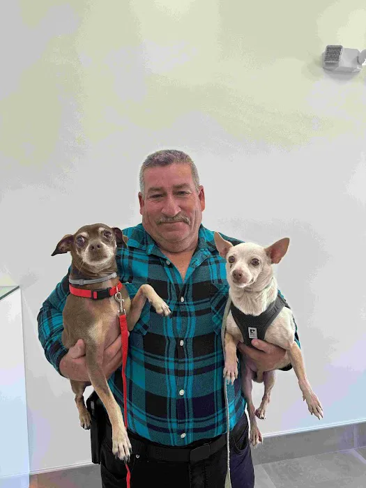 Brighter Veterinary Center Picture 6