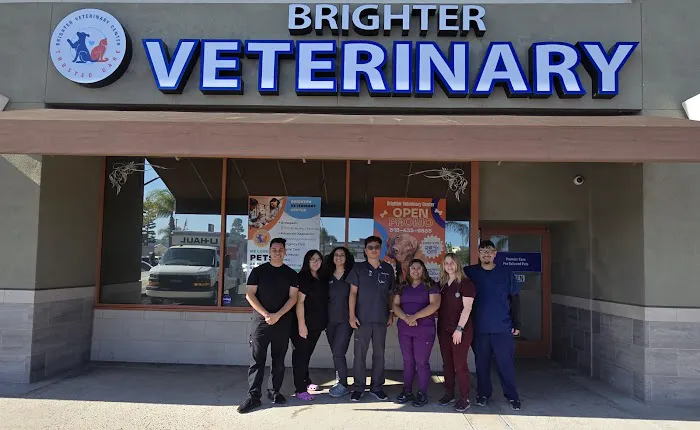 Brighter Veterinary Center Picture 10